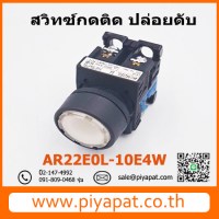 AR22E0L-10E4W รูปโชว์
